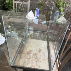 Fish Tank 