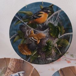 Platos Decorativos $7