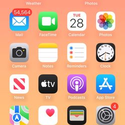 iPhone 12 With TIk Too