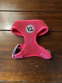 Small Dog Harnesses/Collars/Leashes