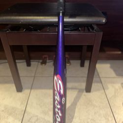 Easton 30” Softball Bat (purple)
