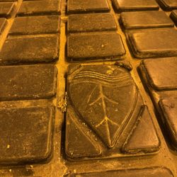 Rolling Bench’s 100 Lights Worth 