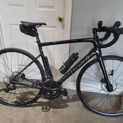 Specialized Road Bike Carbon Fiber