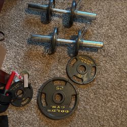 Golds Gym Olympic Weight 