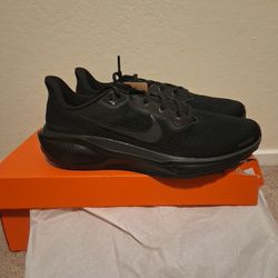 Nike Zoom Pegasus 41