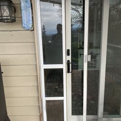 New Doggy Door