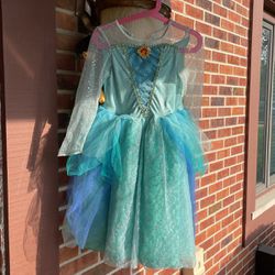 Disney Princess Elsa Dress/costume