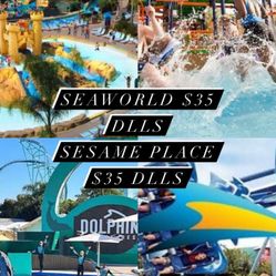 Sesame Place Y Seaworld 