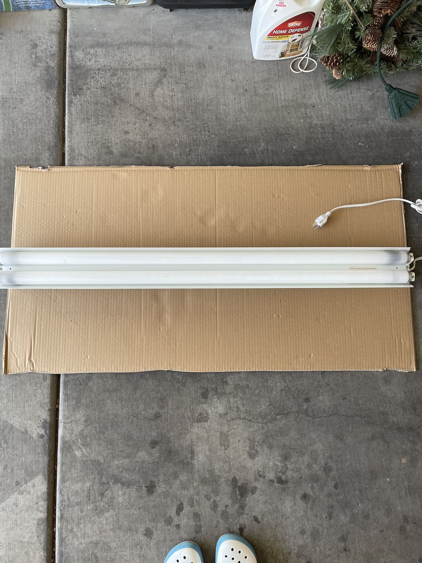 fluorescent light