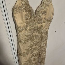 Gold Dress 