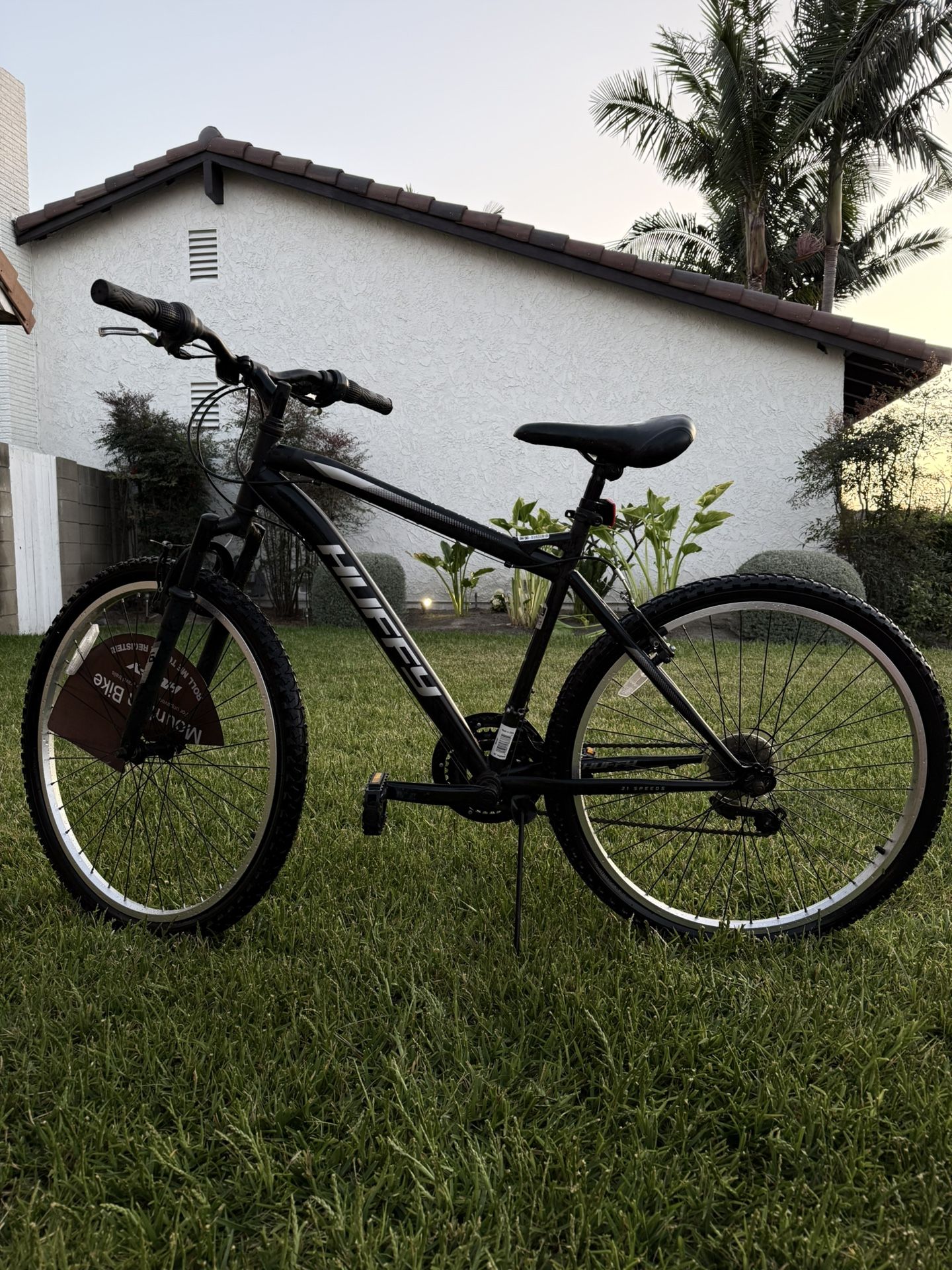 Mountain Bike w/gears