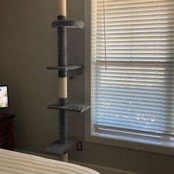 Cat  Climbing Tower!