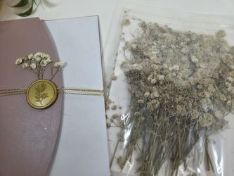 Ivory Baby's Breath Real Natural Dried Pressed Flowers for Resin Art Craft DIY