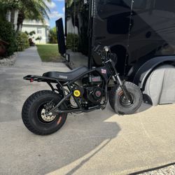 predator 212 mini bike $650 (OBO)