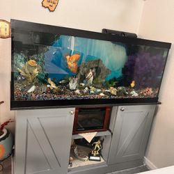 Fish tank 
