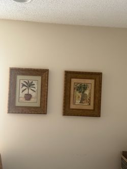 Pictures
