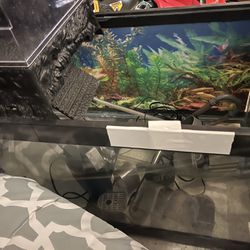 55 Gal Tank With & Accessories & Stand