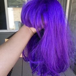 Halloween Purple Bob Wig $10
