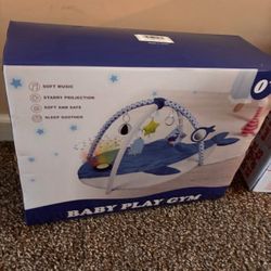Baby Play Gym 