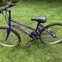 Girls Bike 18 Speed 