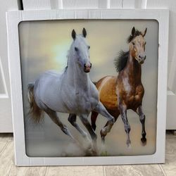 beautiful brand new 24 by 24 inch tempered glass wall art. (MUST SELL TODAY)