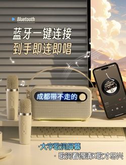 Bluetooth Karaoke Speaker with Microphones 蓝牙卡拉OK音箱