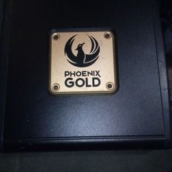 Phoenix Gold Rx2 500.1 Amp