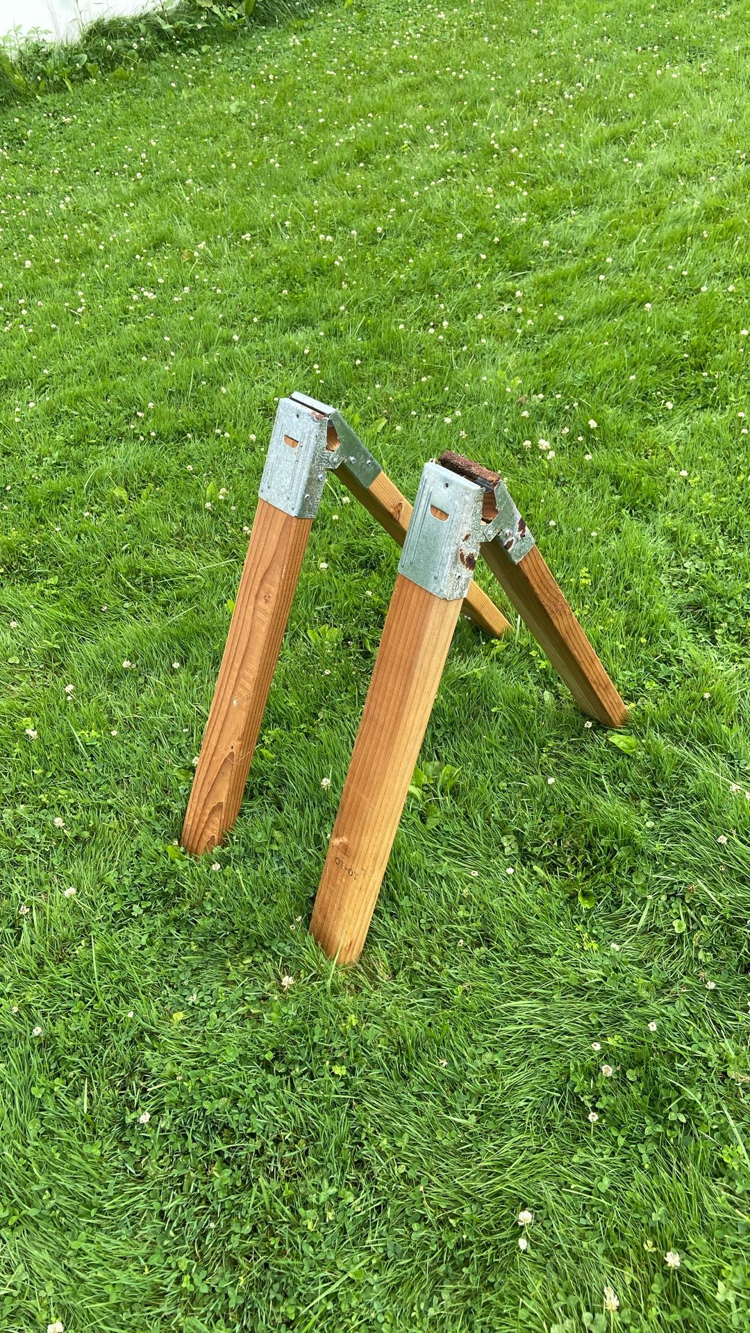 saw horses wood