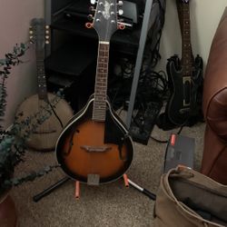 Copley Mandolin 