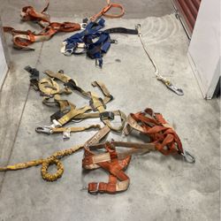 Safety Harness