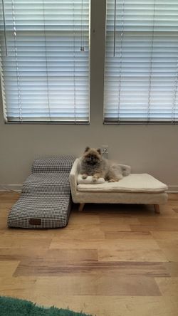 Dog Sofa Bed + Stairs