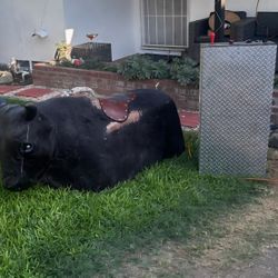 Large Mechanical Bull