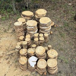 Wood Slices 4”-17”
