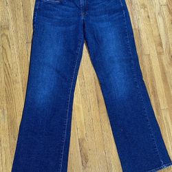 Lucky Brand Womens Size 12/31 Blue American Standard Denim Straight Leg Jeans