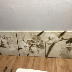 3 Canvas Art 🖼️ 