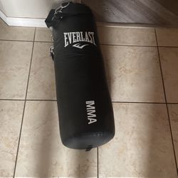 MMA Everlast Punching Bag