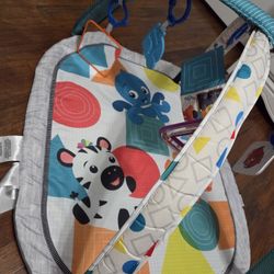 Baby Einstein Mat Gym