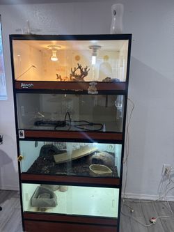 Reptile Enclose