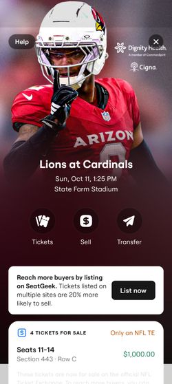 Arizona Cardinals vs Detroit Lions seats