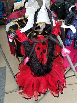 Ladybug costume