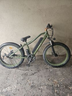 Abandoned E-bike