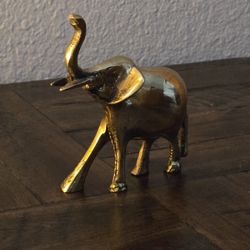 Adorable Triumphant Little Elephant 