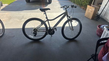 Schwinn bicycle for teenagers or adults