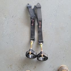 Shock Therapy Limit Straps 