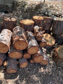 Free firewood