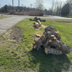 Curb Alert!!  Free Pine!!  I Can Help Load It Up For You!!!