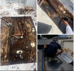 WINTER SALE 💸!!!! Fiberglass, Transom, Polish, Custom, Cabin, Jetski, Stretch Marks, Upholstery, Anything 🌊✅ 