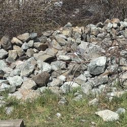Landscaping rocks