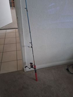 Small fish starter pack