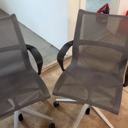 Duo Office Chairs 